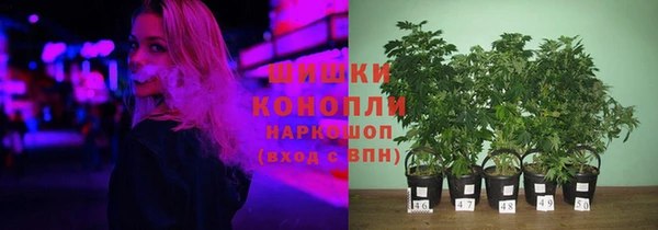 шишки Абинск