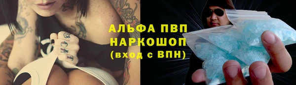 шишки Абинск