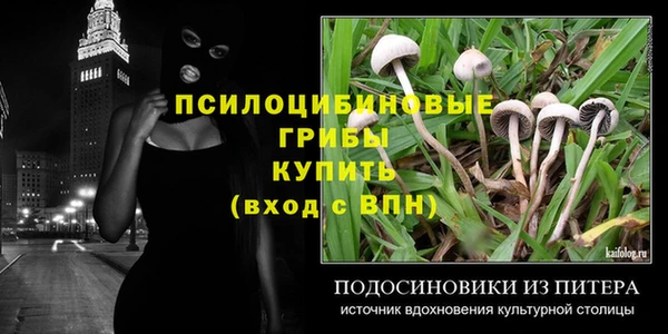 шишки Абинск